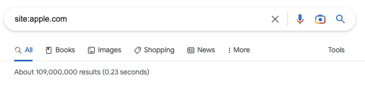 Site search operator showing results from single domain